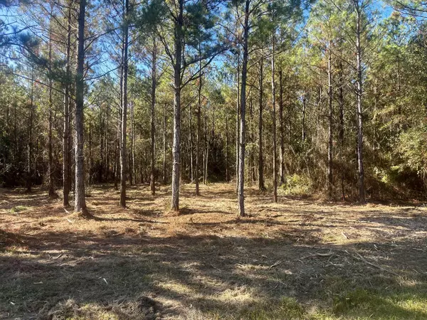 Defuniak Springs, FL 32433,0 Co Hwy 0605