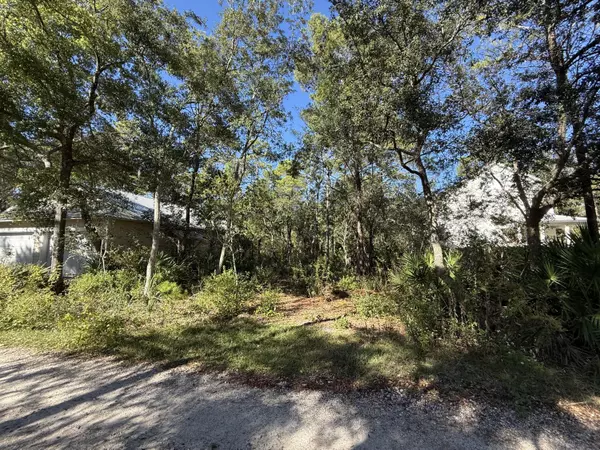 Santa Rosa Beach, FL 32459,TBD Riker Avenue