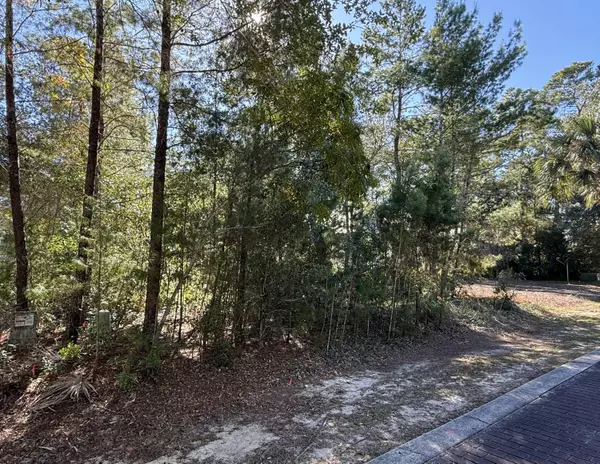 Santa Rosa Beach, FL 32459,TBD Riker Avenue