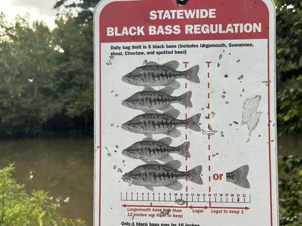 Wewahitchka, FL 32465,4 Lots Riverside Circle