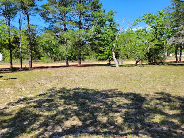 Defuniak Springs, FL 32433,63 W Oleander Avenue