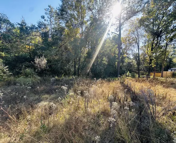 Defuniak Springs, FL 32435,TBD Douglass Avenue