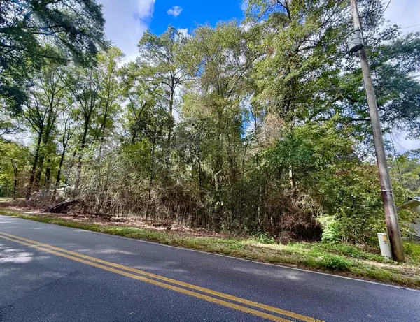 Defuniak Springs, FL 32433,Lot 3 N Norwood Road