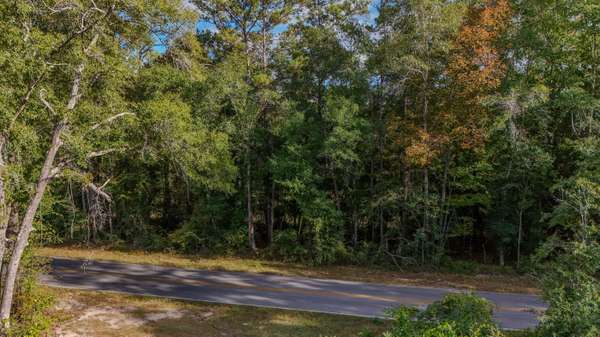 1.25 AC Pleasant Ridge Road, Defuniak Springs, FL 32435