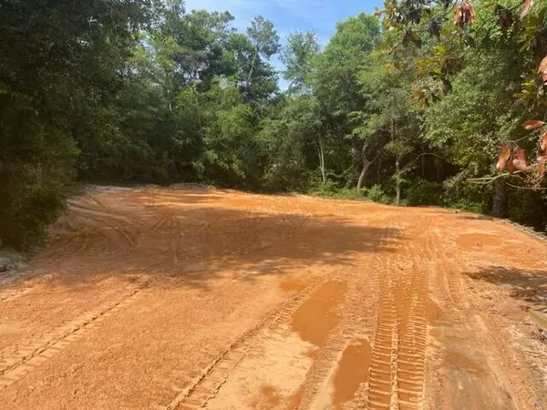 Niceville, FL 32578,219 Hillside Drive