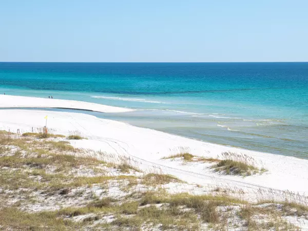Inlet Beach, FL 32461,Lot 9 W Lupin Beach Drive
