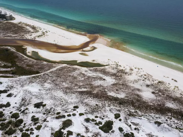 Inlet Beach, FL 32461,Lot 9 W Lupin Beach Drive