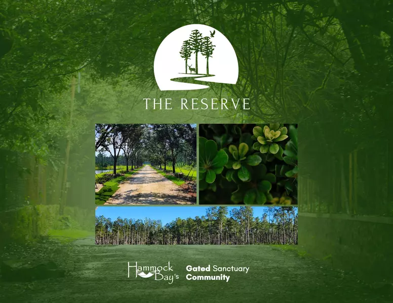 Lot 36 Reserve at Hammock Bay, Freeport, FL 32439