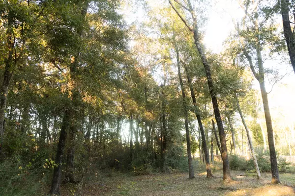 Defuniak Springs, FL 32433,276 Squirrel Road