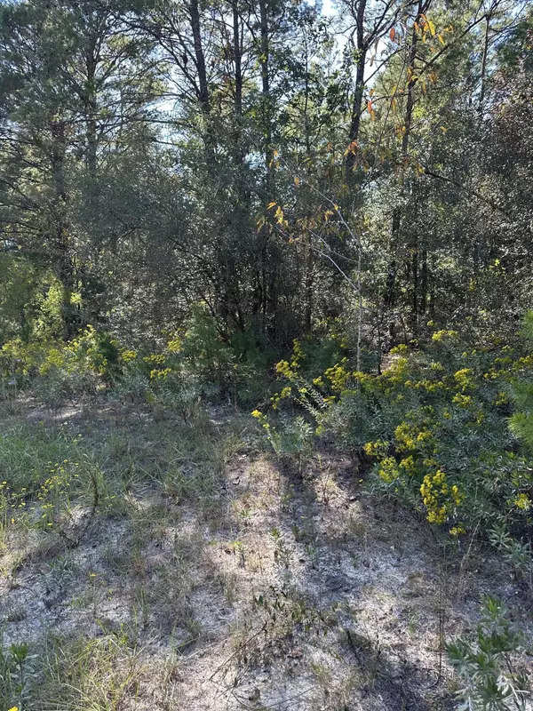 Defuniak Springs, FL 32433,134 Post Oak Road