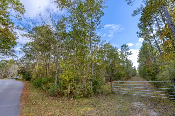 Freeport, FL 32439,00 Mullet Drive