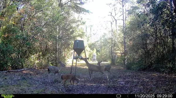 Crestview, FL 32539,Parcel A Sunburst Drive