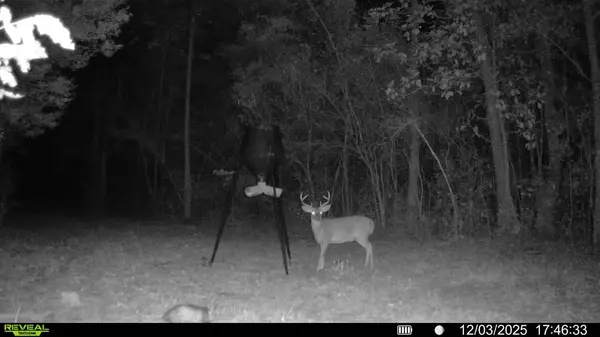 Crestview, FL 32539,Parcel A Sunburst Drive