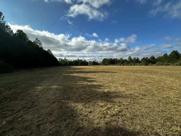 Holt, FL 32564,TBD Main Street