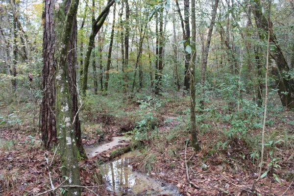 Ponce De Leon, FL 32455,100AC Co Hwy 183