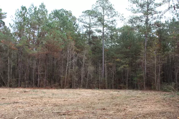 Ponce De Leon, FL 32455,100AC Co Hwy 183