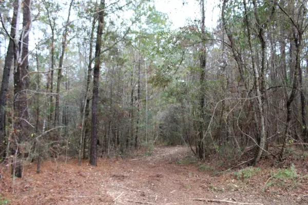 Ponce De Leon, FL 32455,100AC Co Hwy 183