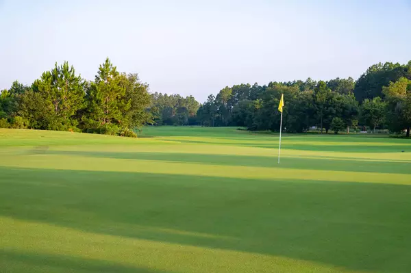 Inlet Beach, FL 32461,TBD Green Heron Street #Lot 38