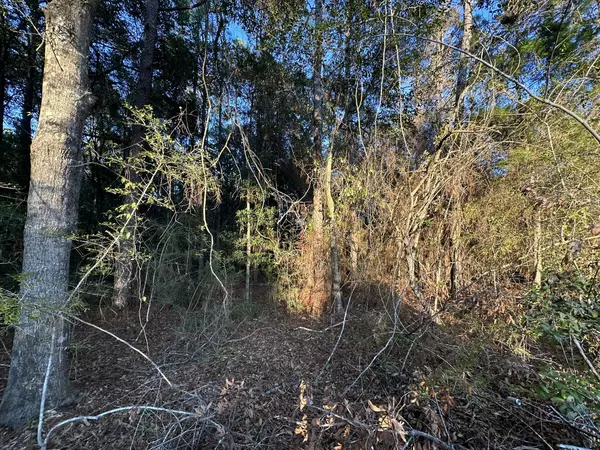 Crestview, FL 32539,TBD E Chestnut Avenue