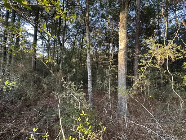 Crestview, FL 32539,TBD E Chestnut Avenue