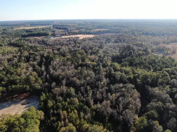 Paxton, FL 32538,205 Varnum