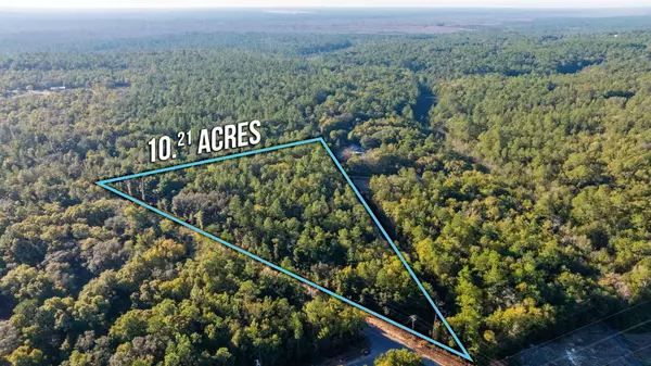 Holt, FL 32564,10+ AC Broxson Road