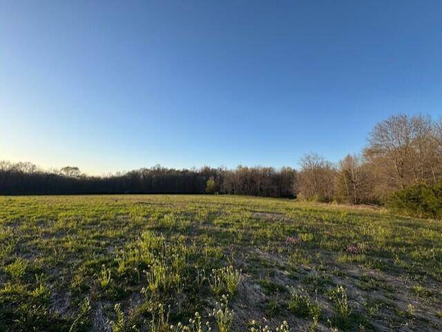 5 State Hwy 15, Mexico, MO 65265