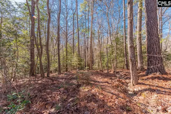 0 Morgan Drive, Lexington, SC 29072