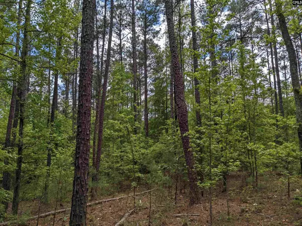 489 Syrup Mill Road, Ridgeway, SC 29130