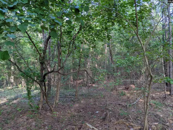 Winnsboro, SC 29180,0 Highway 321 Bypass