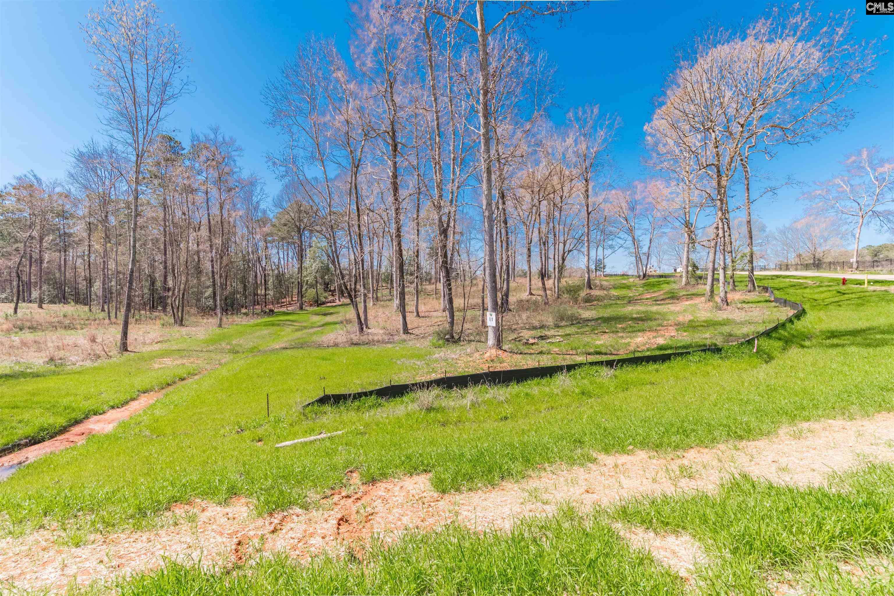 0 Woodside Shores Drive #Lot #11, Prosperity, SC 29127