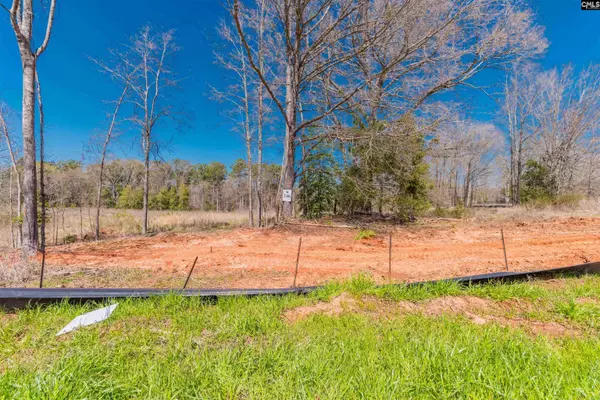0 Woodside Shores Drive #Lot 246, Prosperity, SC 29127