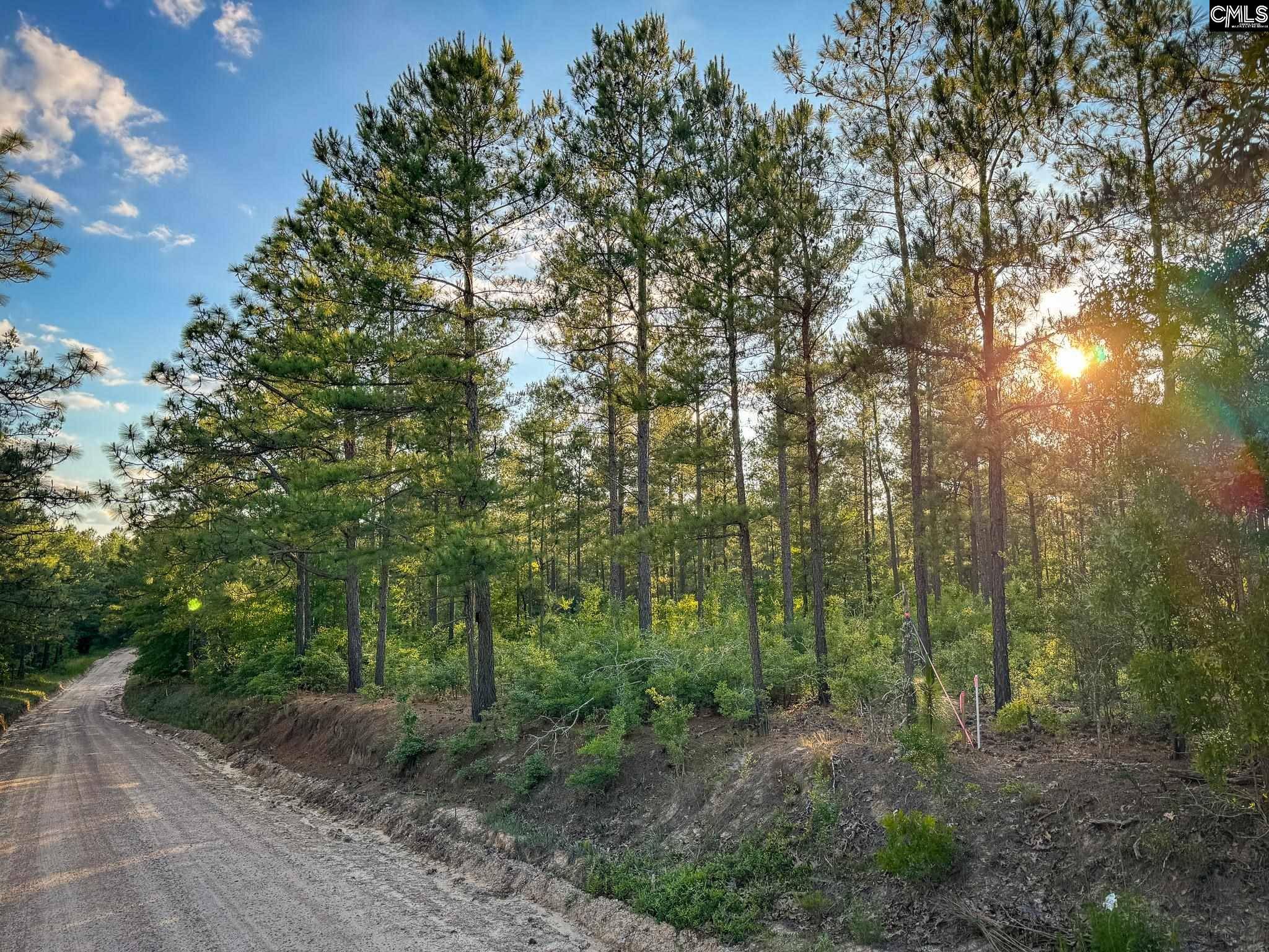 340 Tarpon Road Lot 8 #Lot 8, Leesville, SC 29070