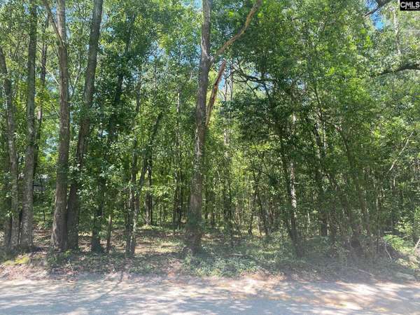 West Columbia, SC 29169,0 Mathias Road