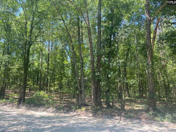0 Mathias Road, West Columbia, SC 29169