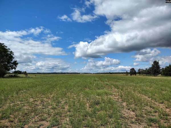 Dalzell, SC 29040,TBD Cannery Road