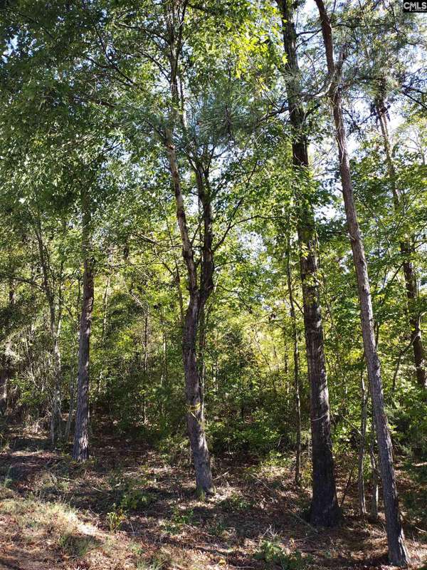 Little Mountain, SC 29075,TBD Sam Koon Road #9