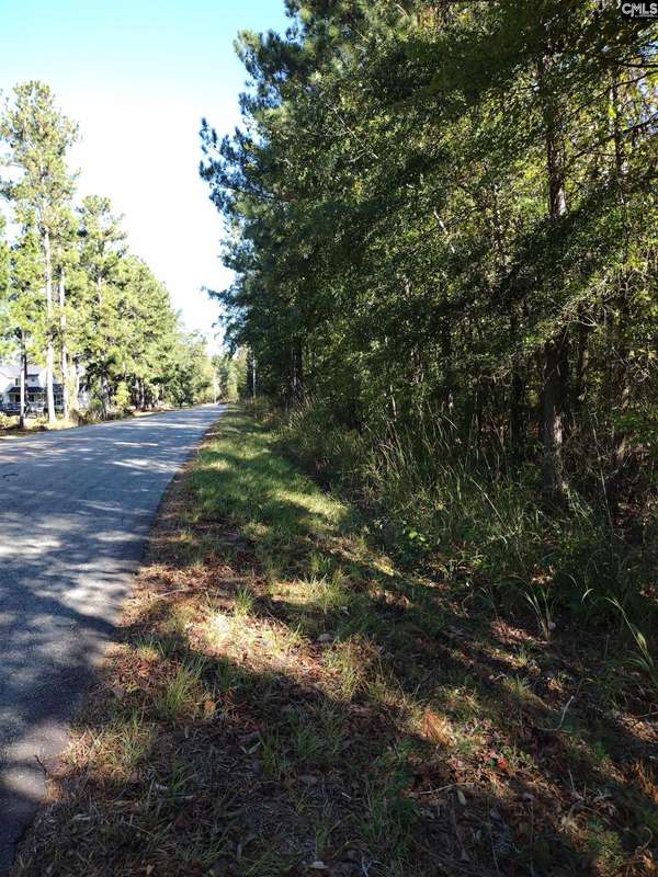 Little Mountain, SC 29075,TBD Sam Koon Road #9