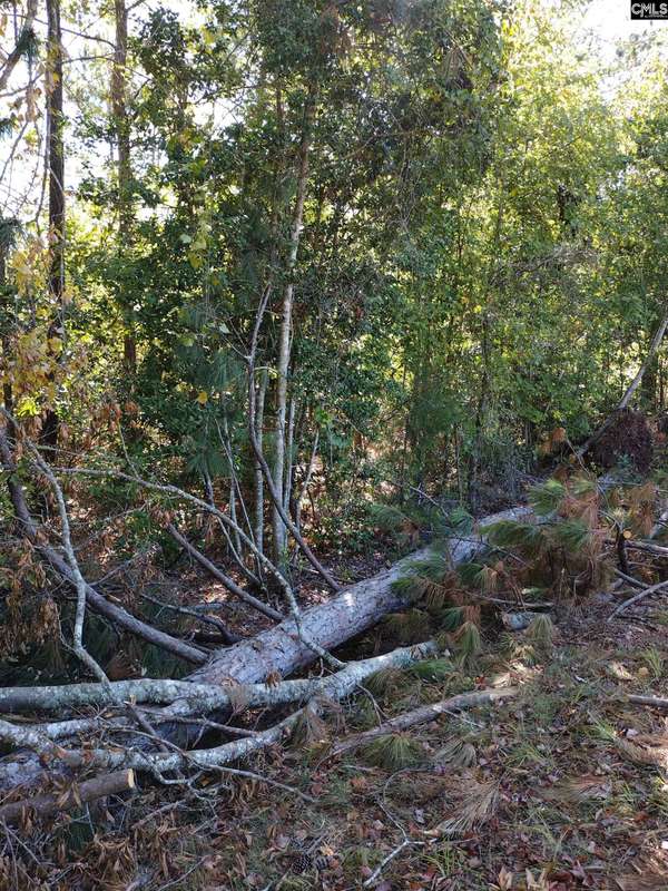 Little Mountain, SC 29075,TBD Sam Koon Road #9