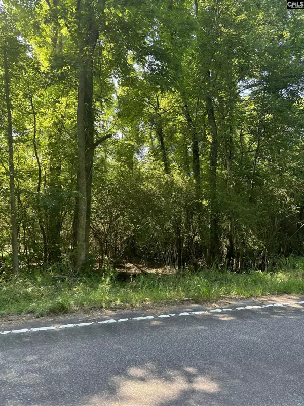 0 Black River Road #Lot 1, Rembert, SC 29128