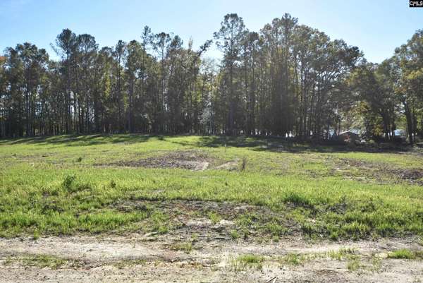 Prosperity, SC 29127,Lot 8 Gold Nugget Point #8