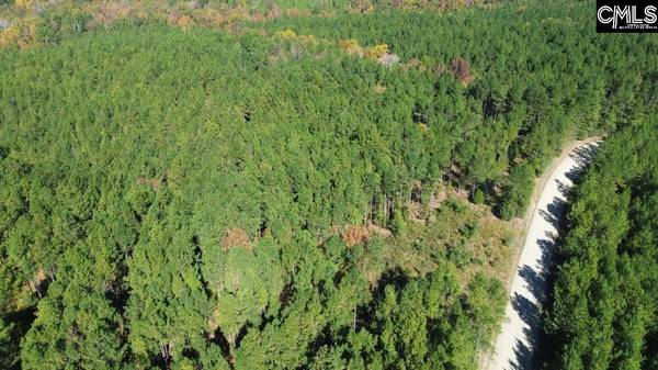 Turkey Creek Road, Winnsboro, SC 29180