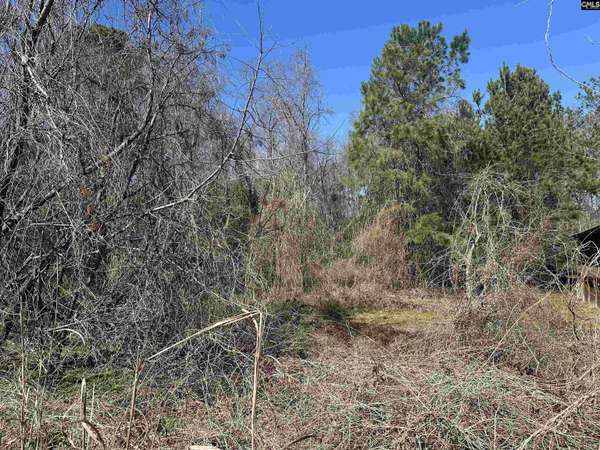 97 Charmont Drive, Columbia, SC 29223