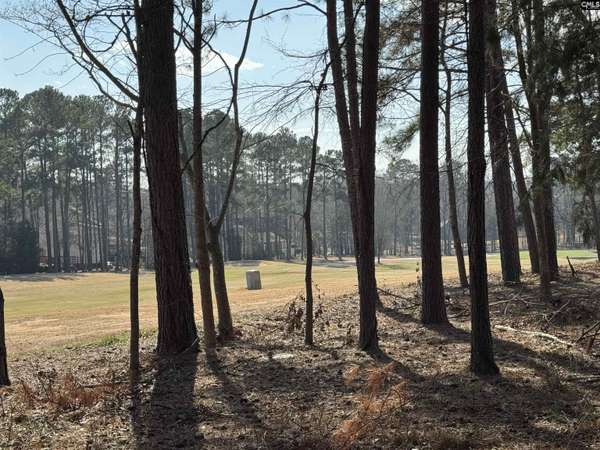 Misty Banks Drive #2, Chapin, SC 29036