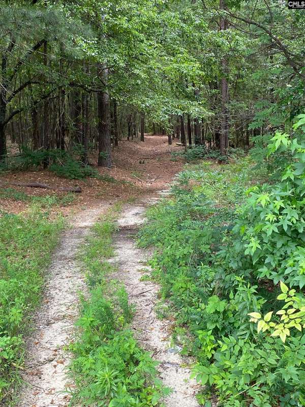 0 Bachman Road, Gaston, SC 29053