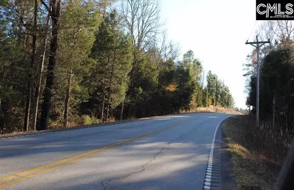 E/S Old Hilton Road, Chapin, SC 29036