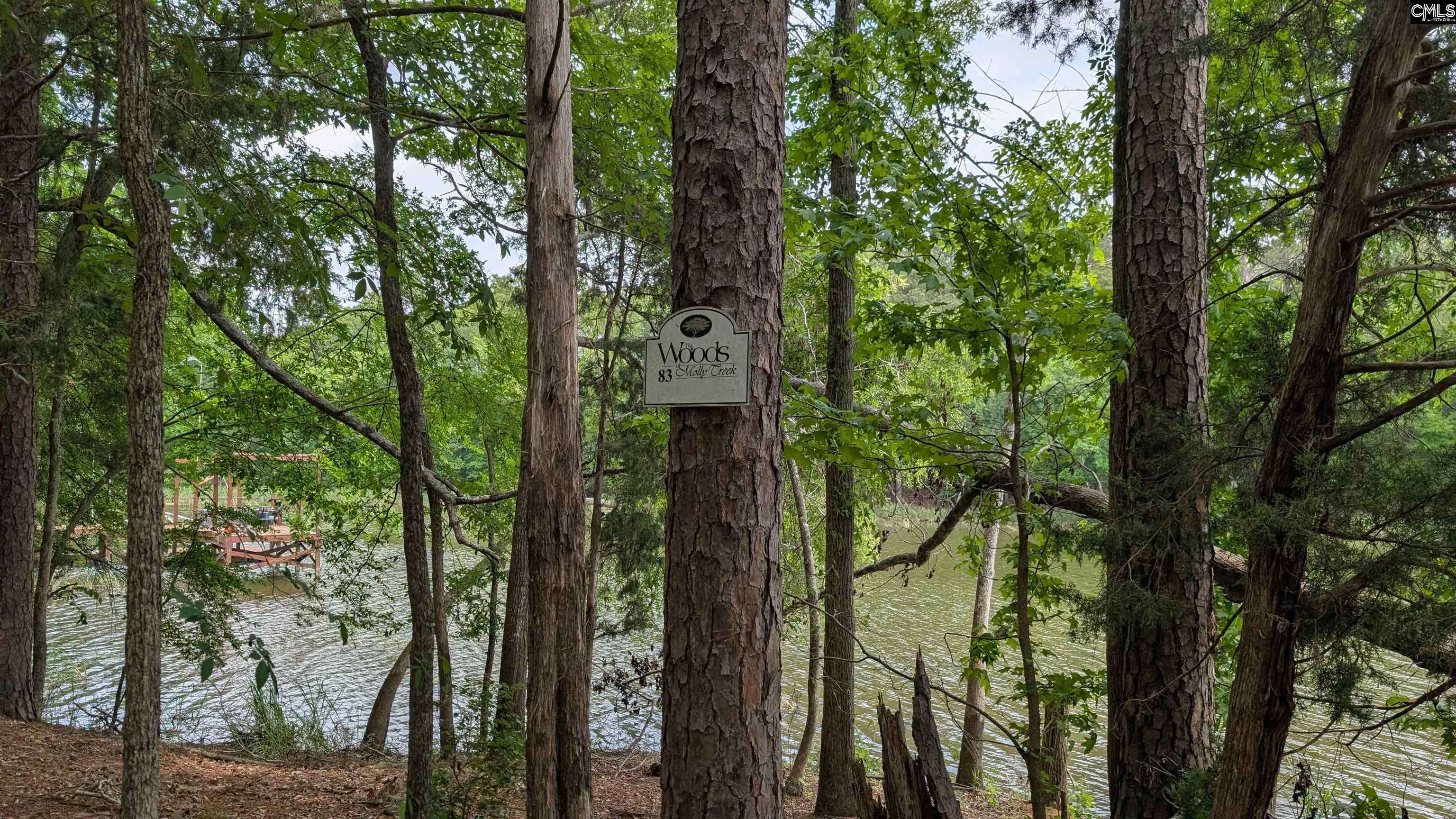 Lot 83 Retreat Way #83, Ridgeway, SC 29130-0000
