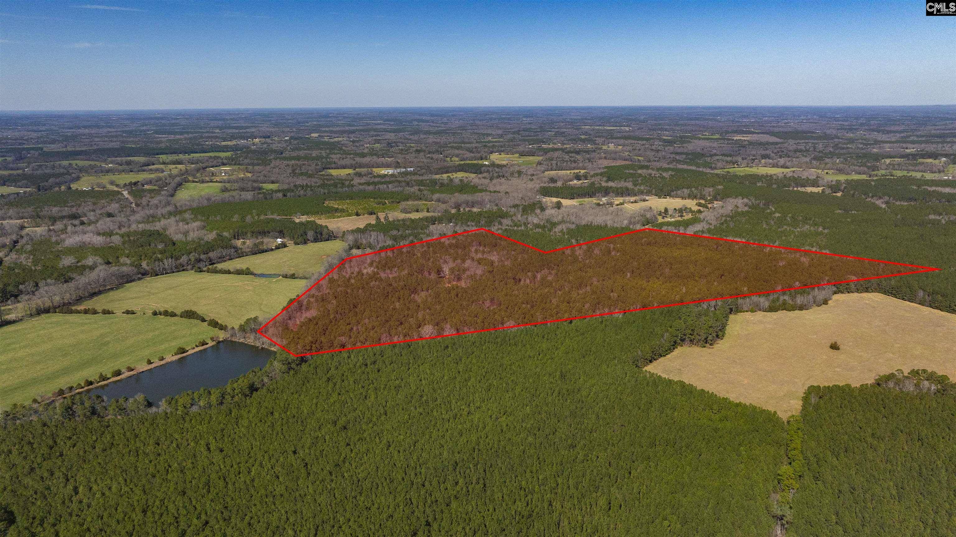 0 Duncan Road, Batesburg, SC 29006