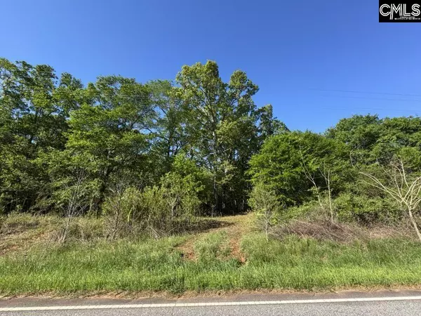 Shaw Road #19, Woodruff, SC 29388