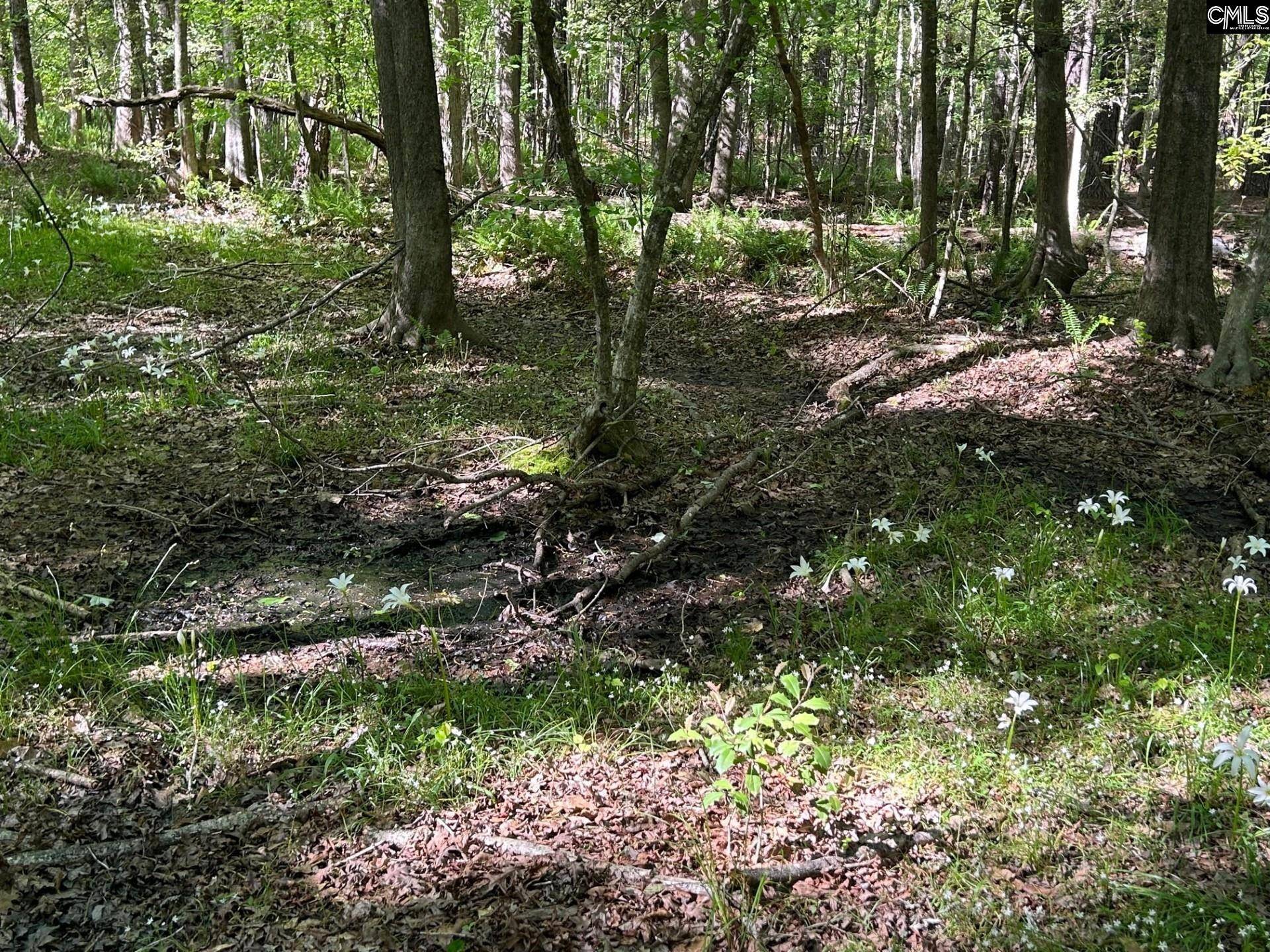 TBD Martin Road, Chapin, SC 29036